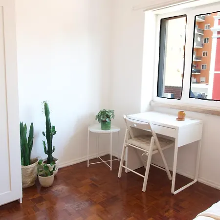 Modern Suites - Floor *